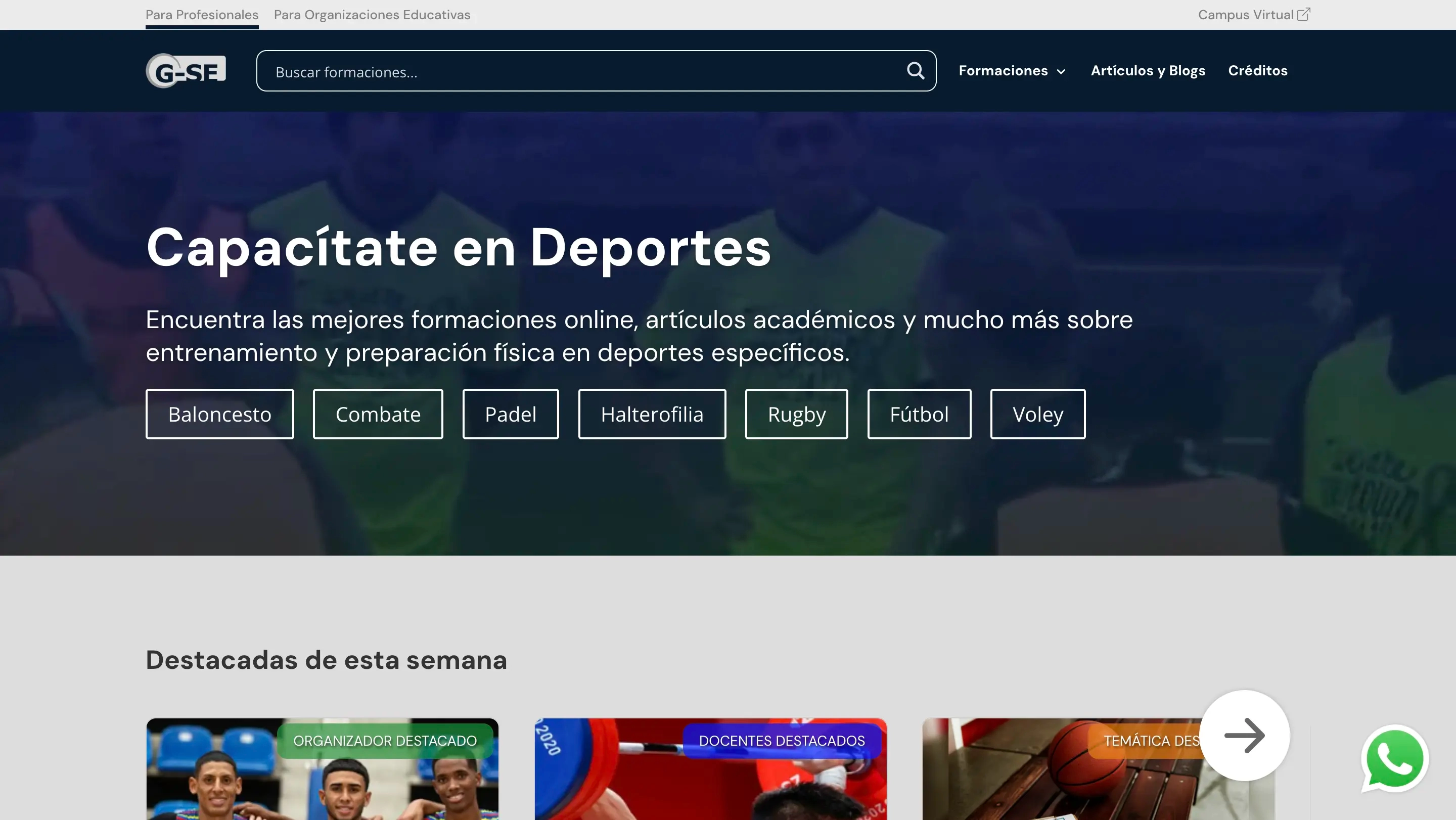 OEC bitlogic services